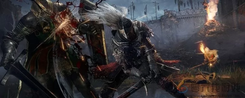 艾尔登法环dlc第一把大太刀位置分享